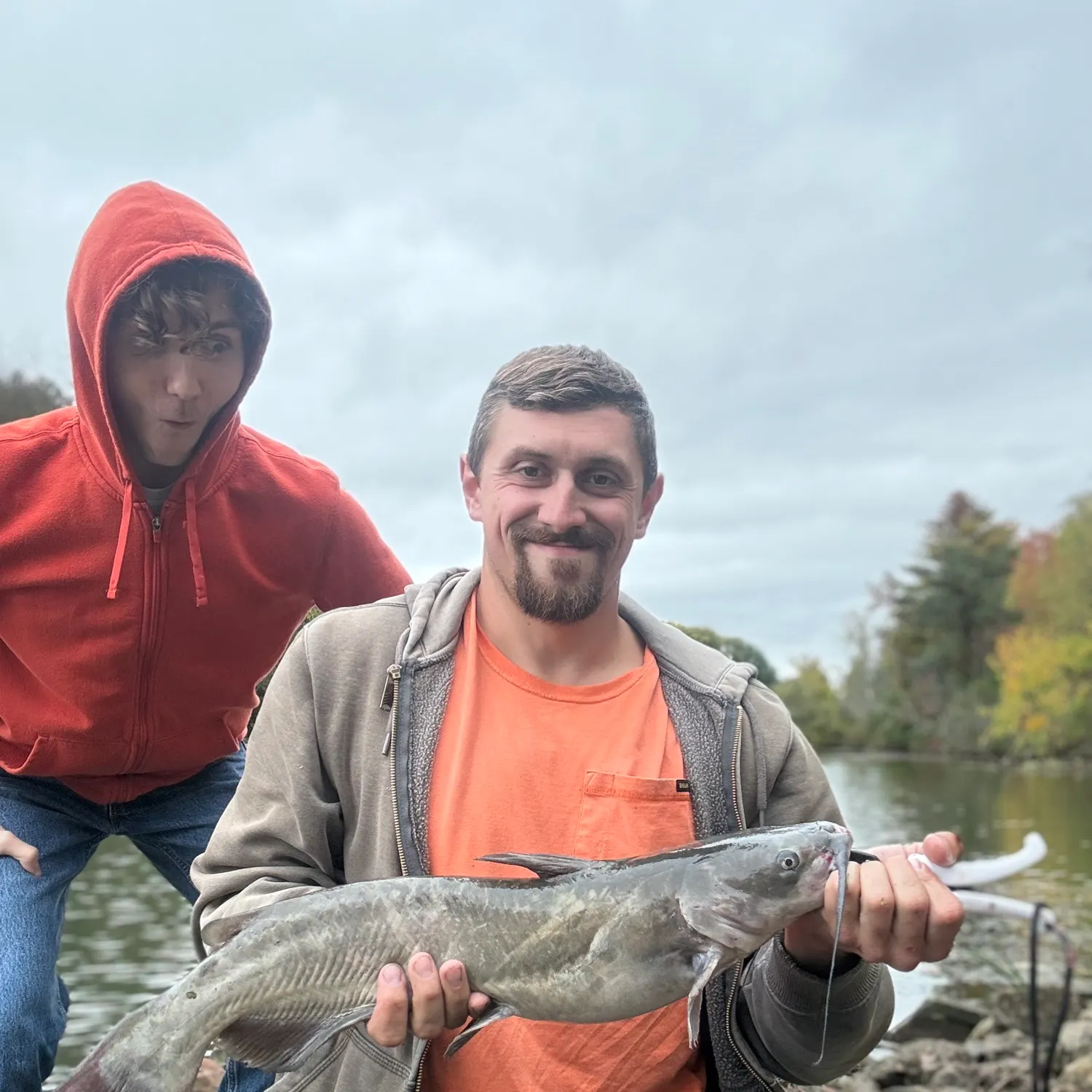 Channel catfish caught on Fishbrain