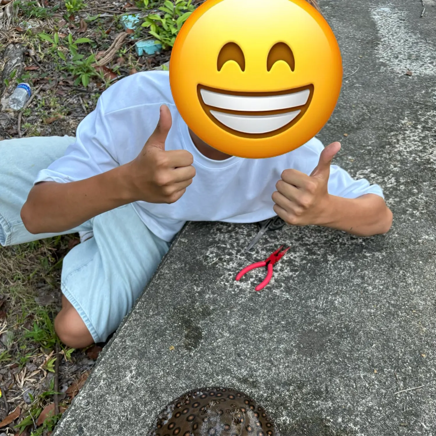 The most recent Ocellate river stingray catches on Fishbrain