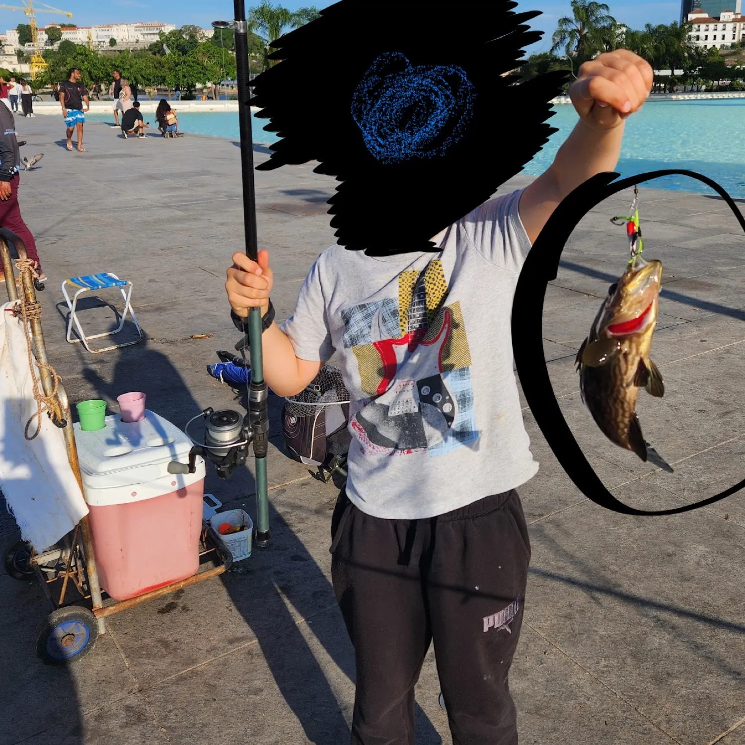 The most popular recent Comb grouper catch on Fishbrain
