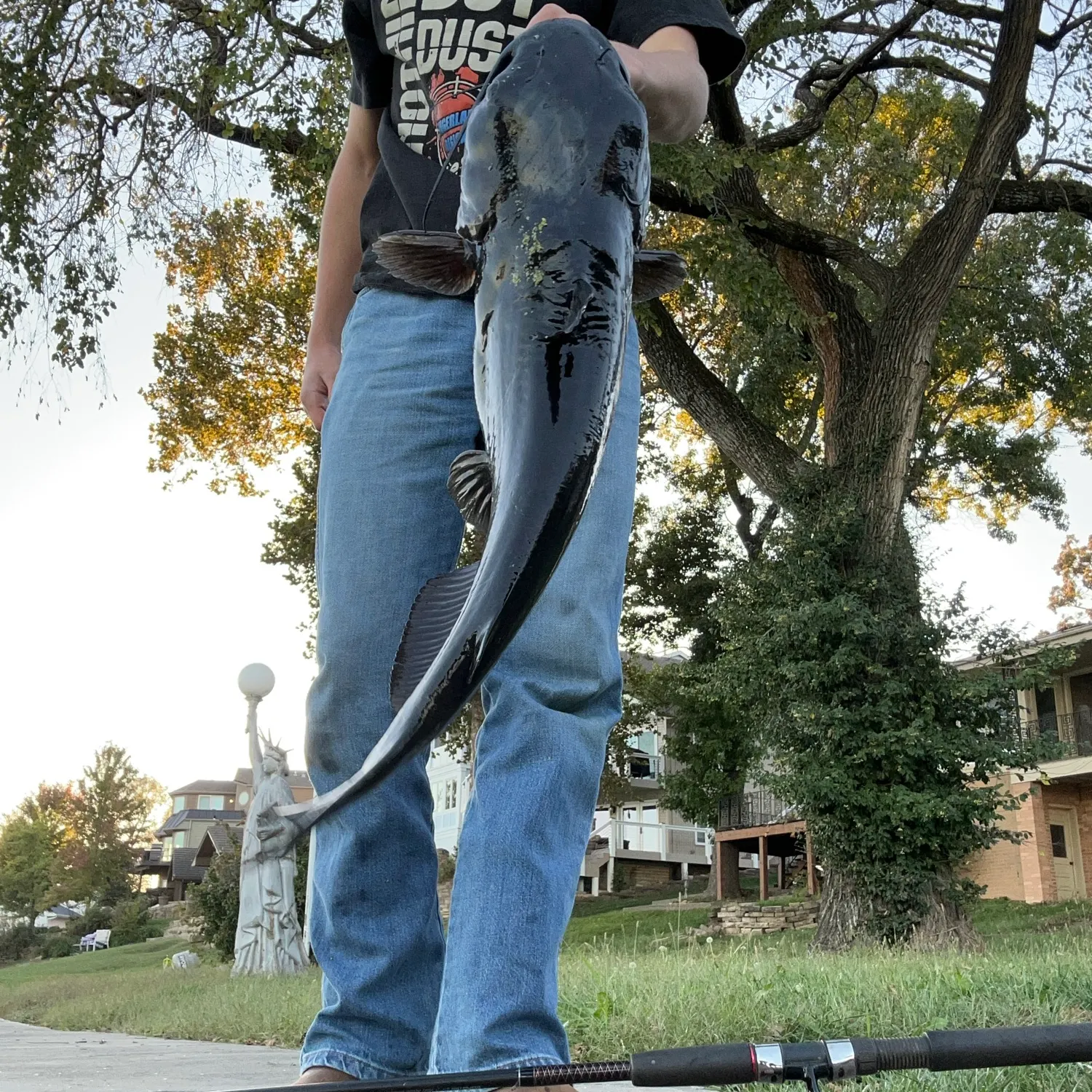 Blue catfish caught on Fishbrain