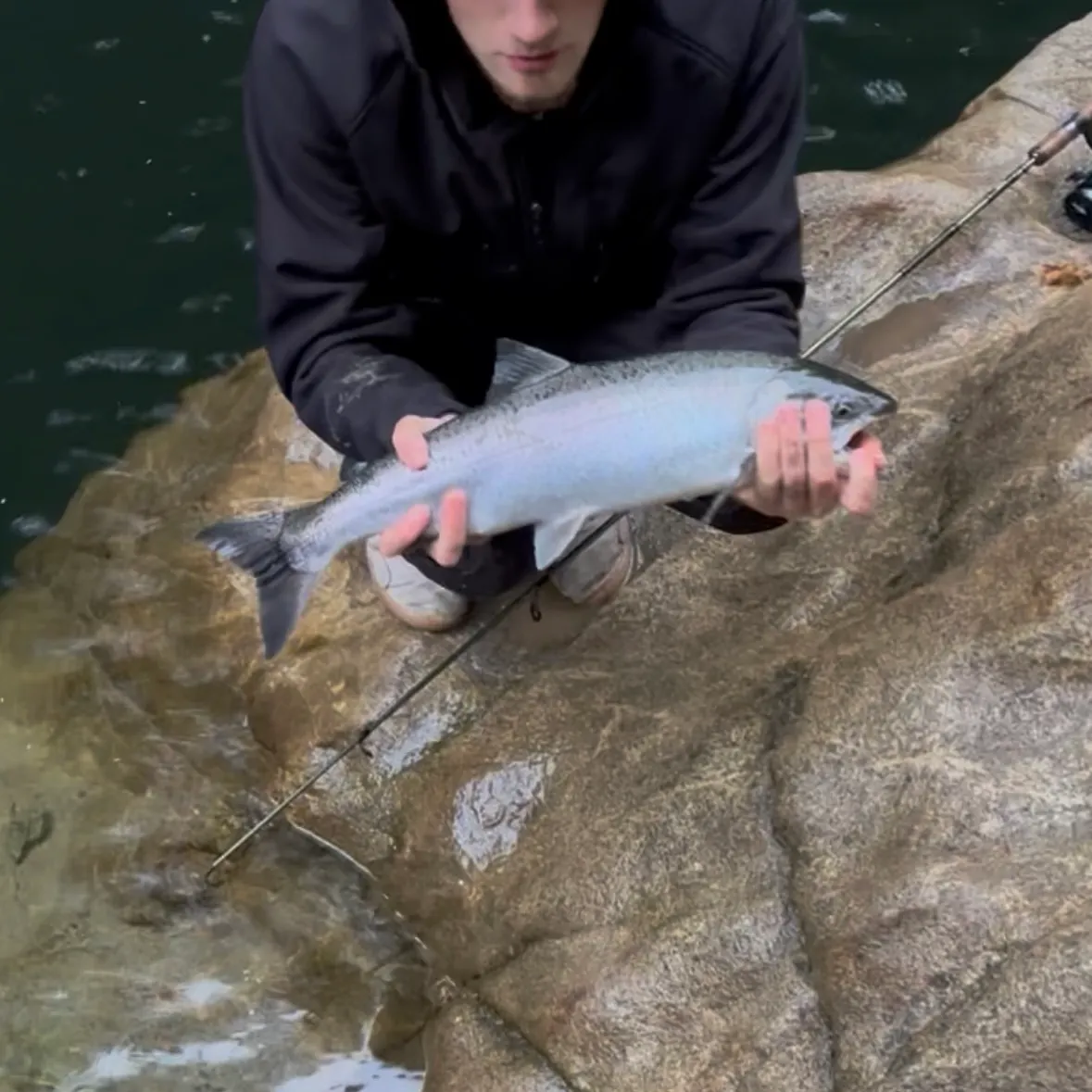 Coho salmon caught on Fishbrain