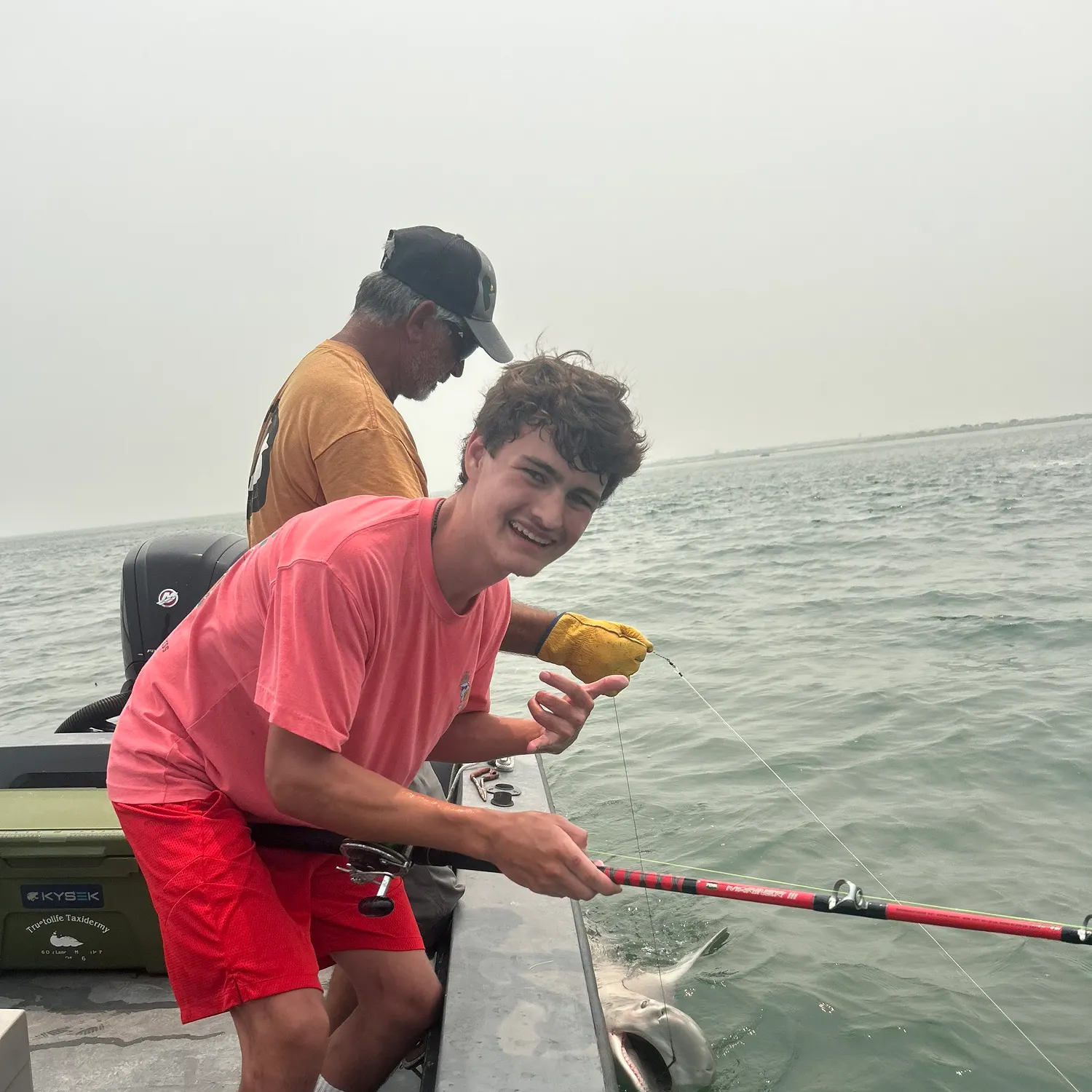 The most recent Sandbar shark catches on Fishbrain