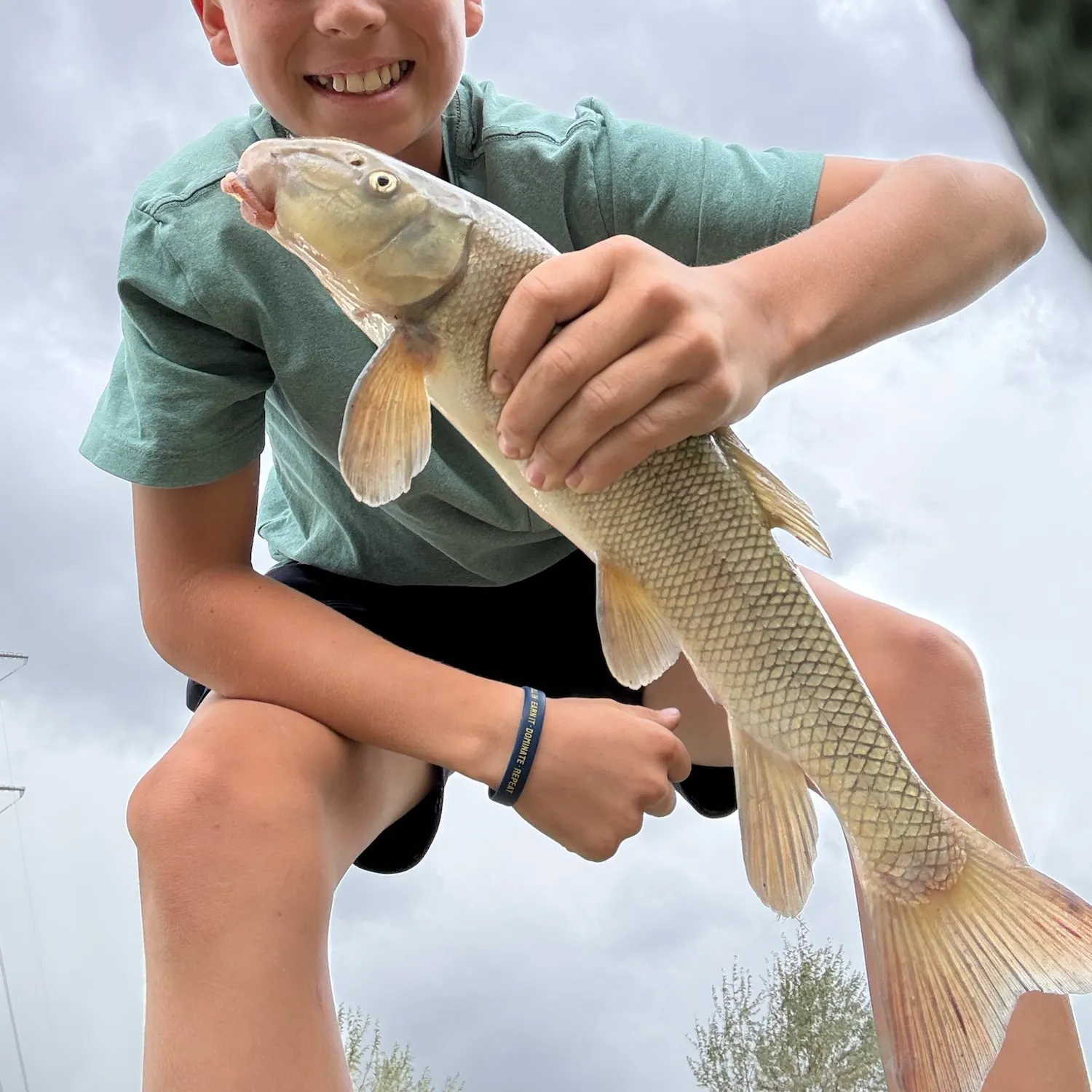 The most recent Utah sucker catches on Fishbrain
