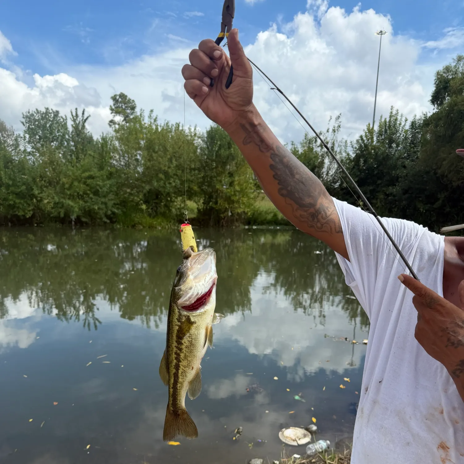 Spotted bass caught on Fishbrain