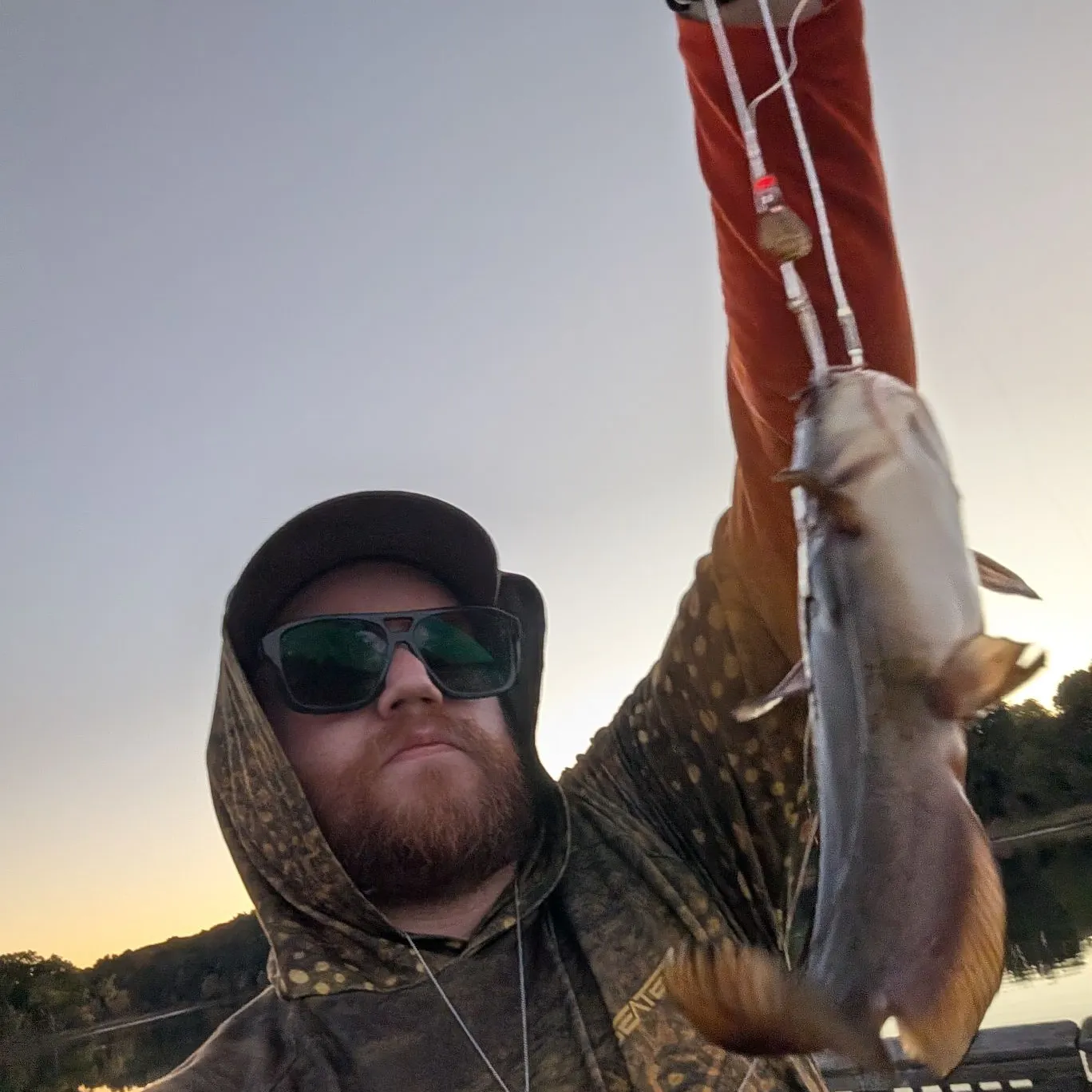 Yellow bullhead caught on Fishbrain