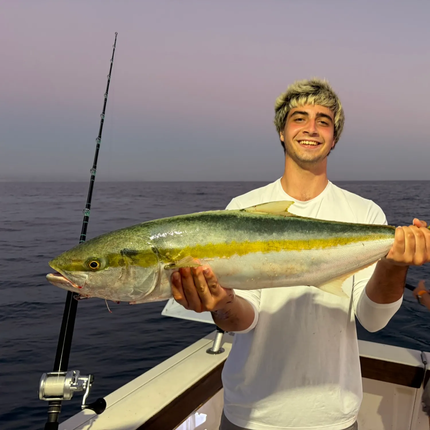 California yellowtail amberjack caught on Fishbrain