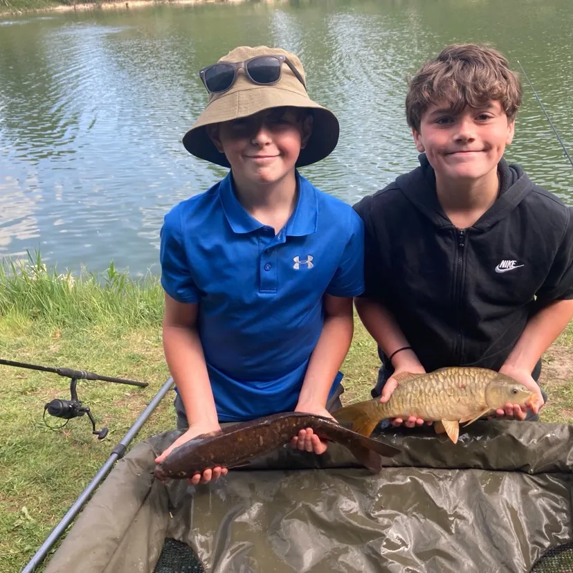 The most recent Mirror carp catches on Fishbrain