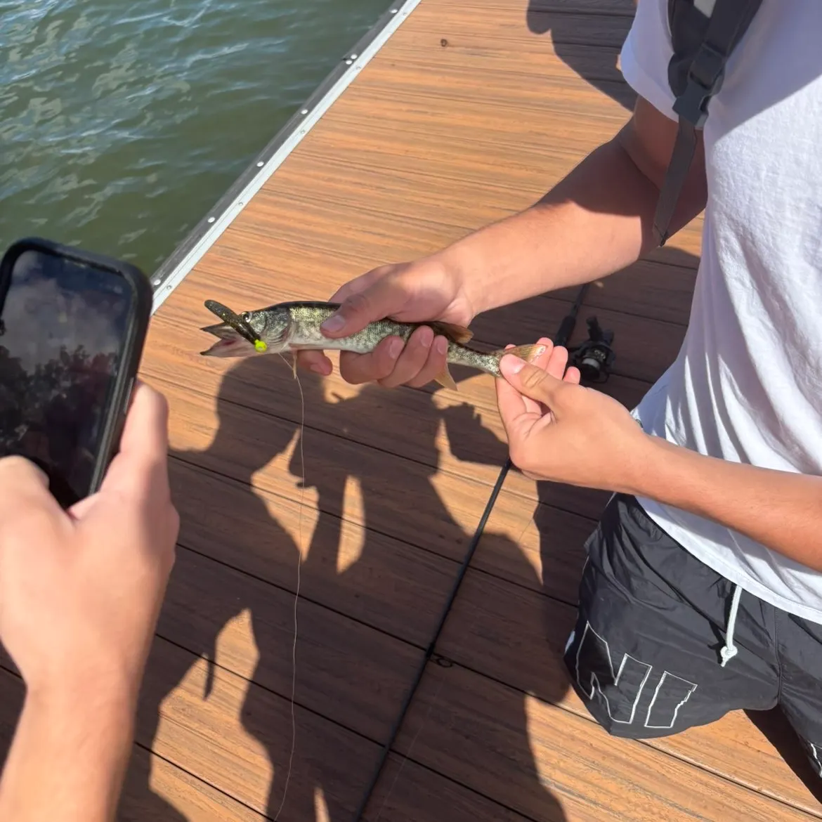 Northern pike caught on Fishbrain