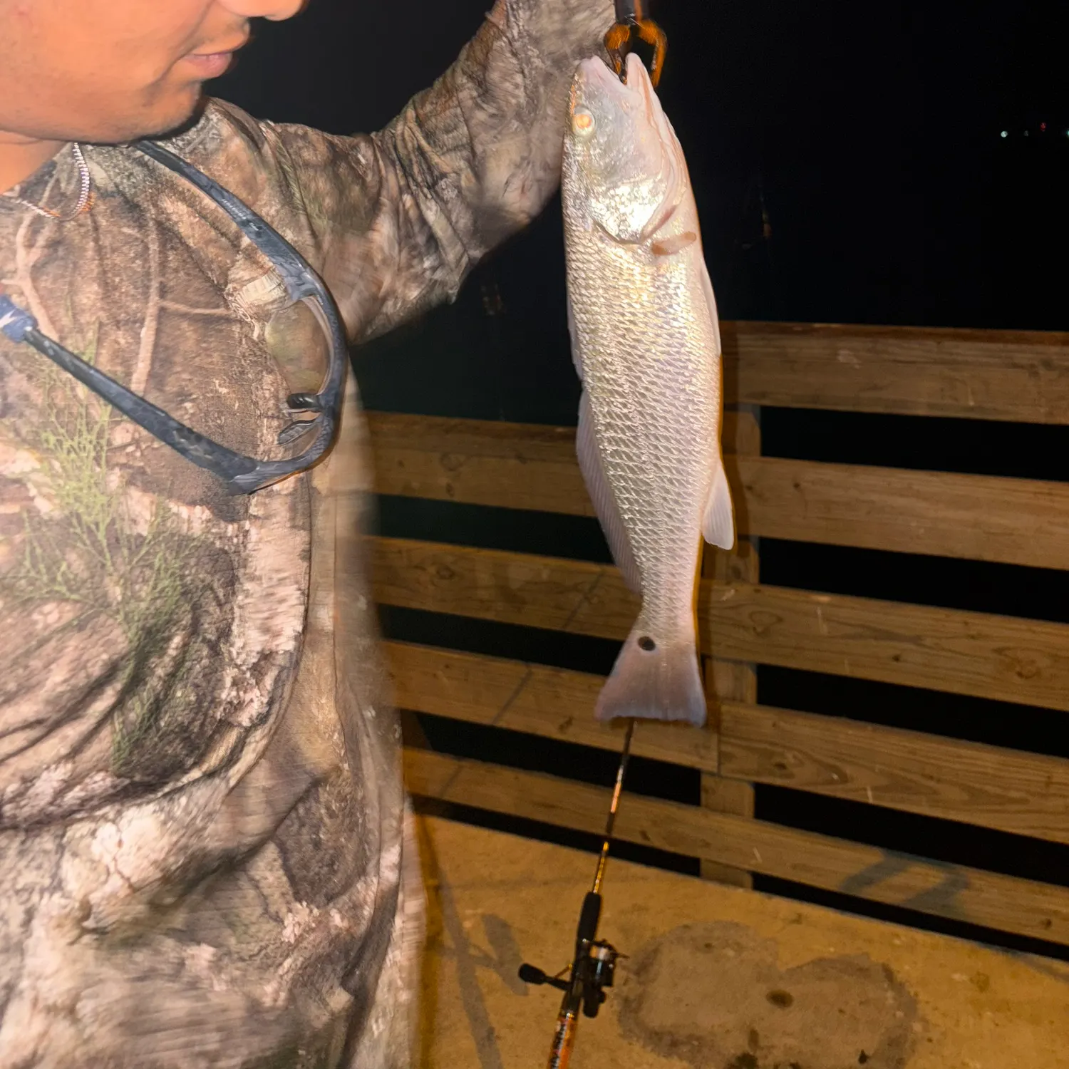 Red drum caught on Fishbrain