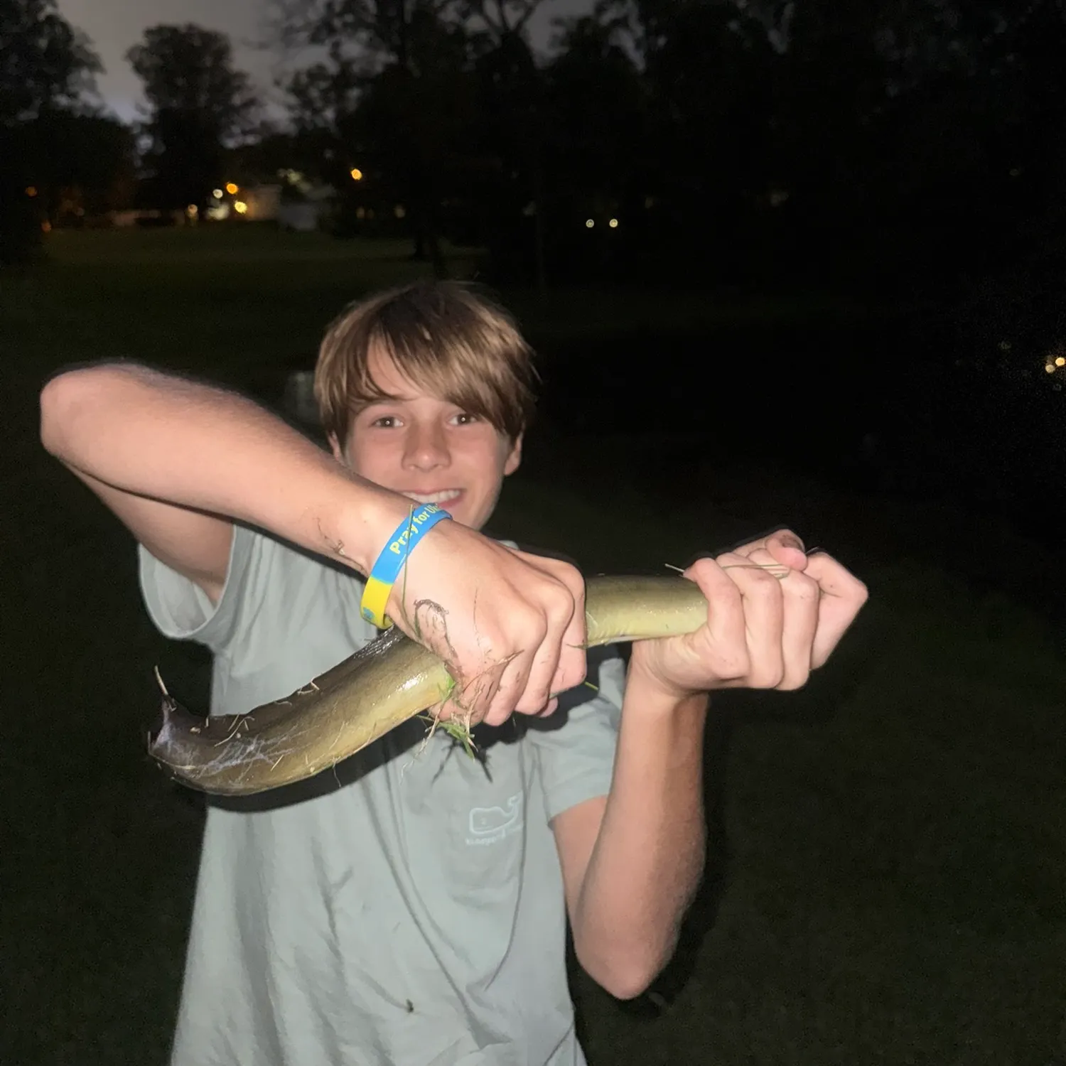 American eel caught on Fishbrain