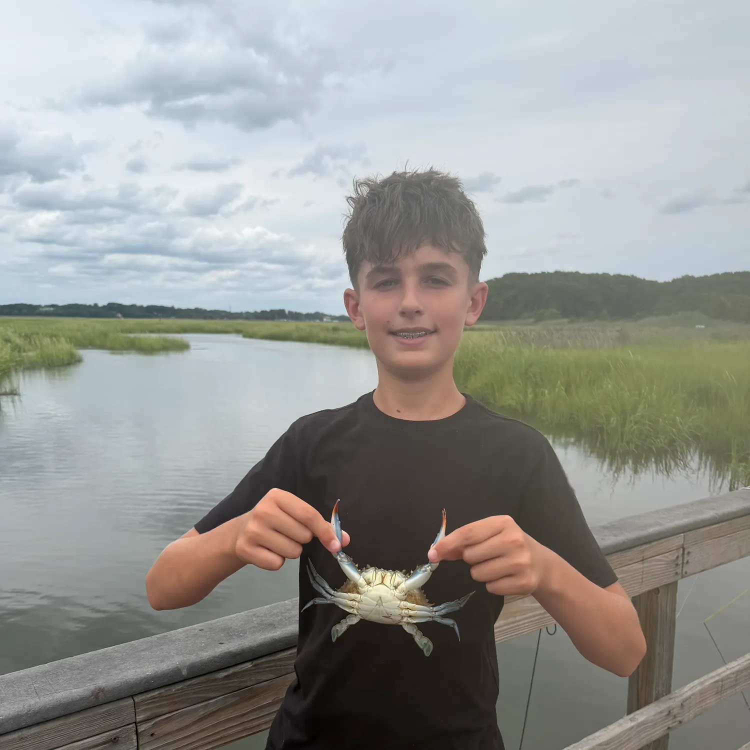 Blue crab caught on Fishbrain