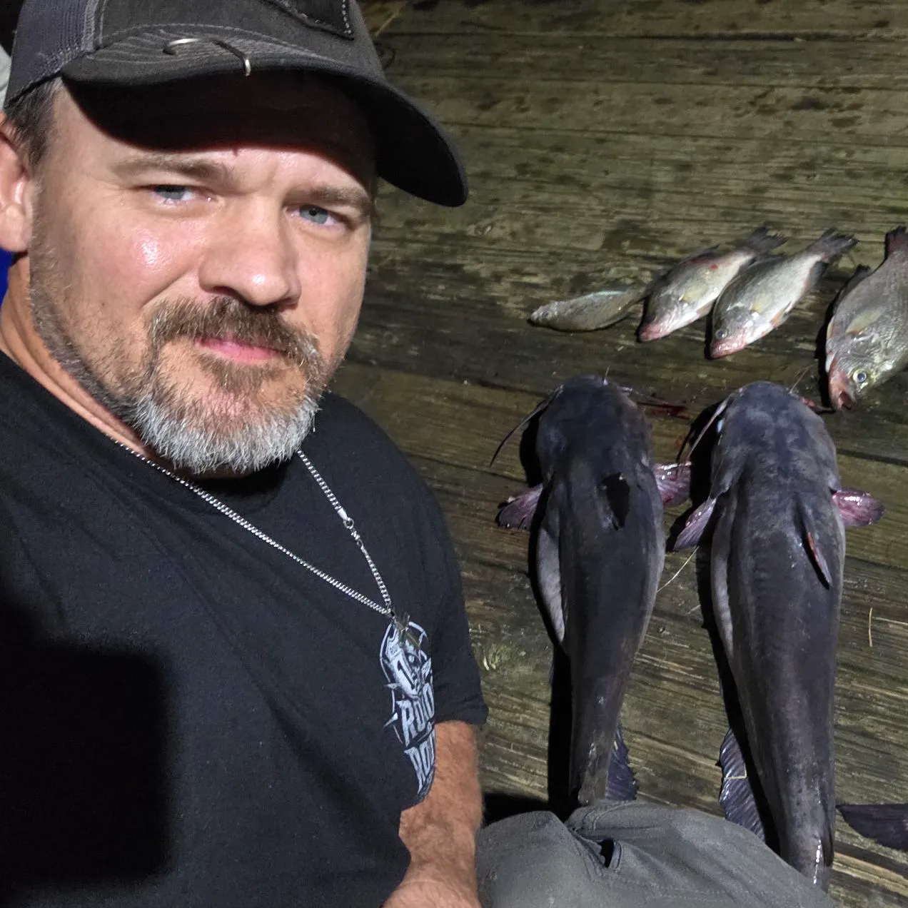 Blue catfish caught on Fishbrain