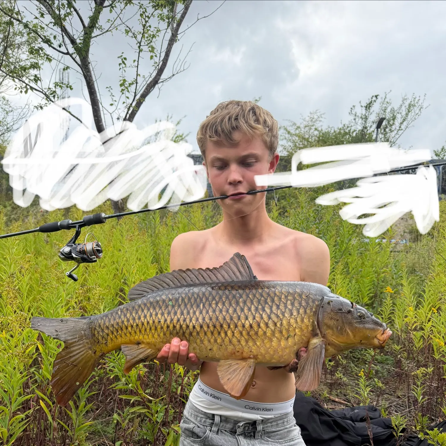 Common carp caught on Fishbrain