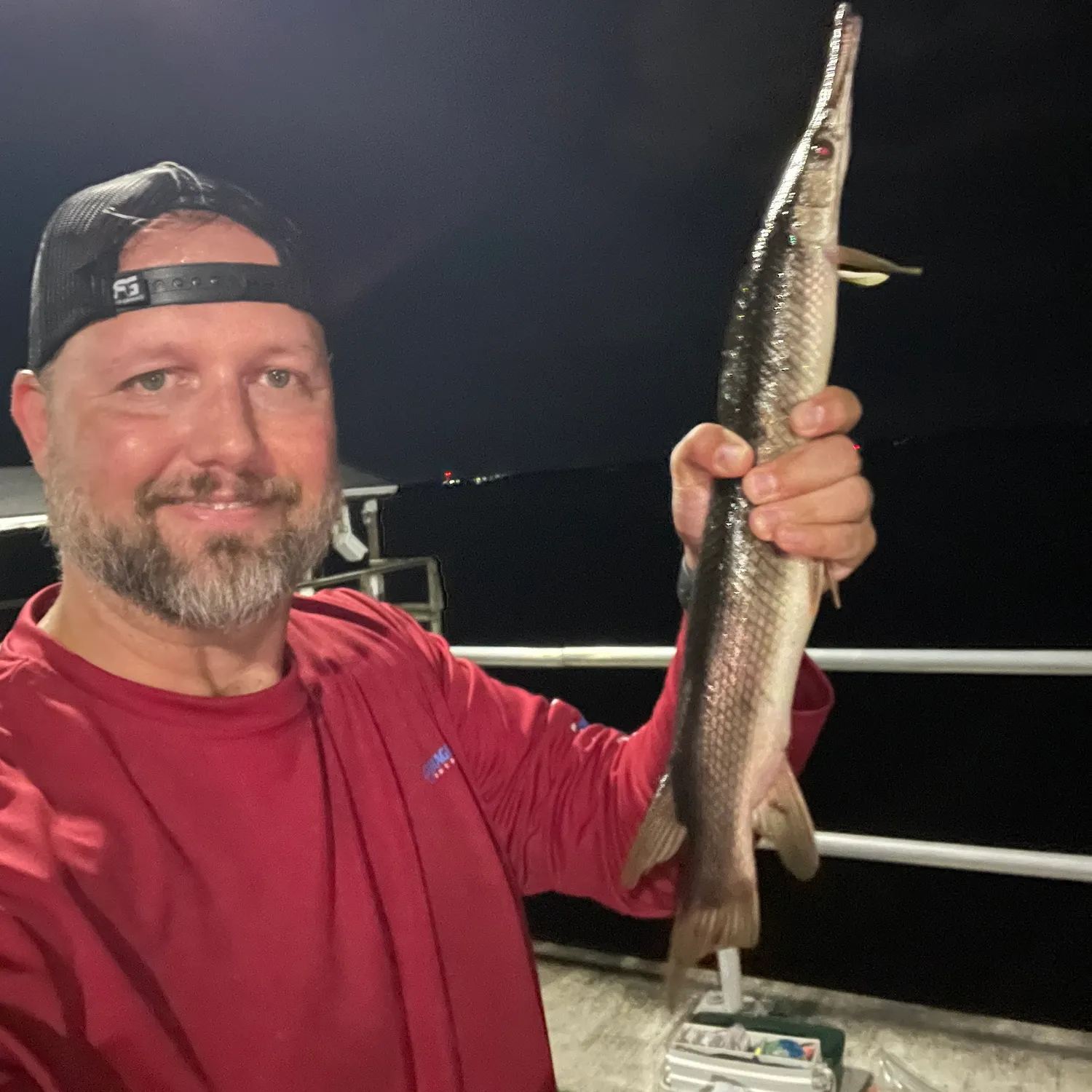 The most recent Spotted gar catches on Fishbrain