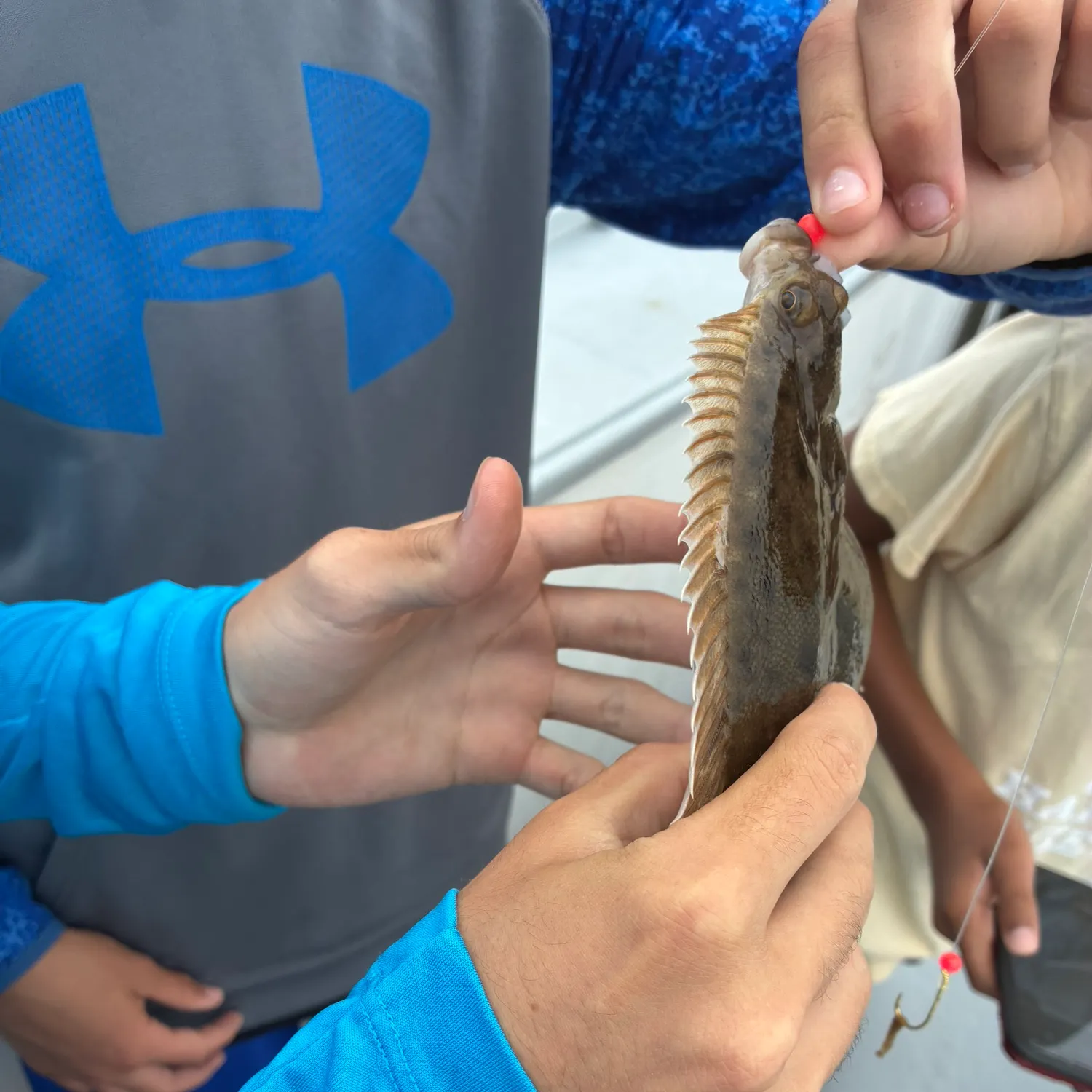 Summer flounder caught on Fishbrain