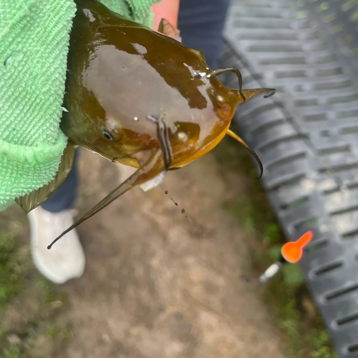 catch