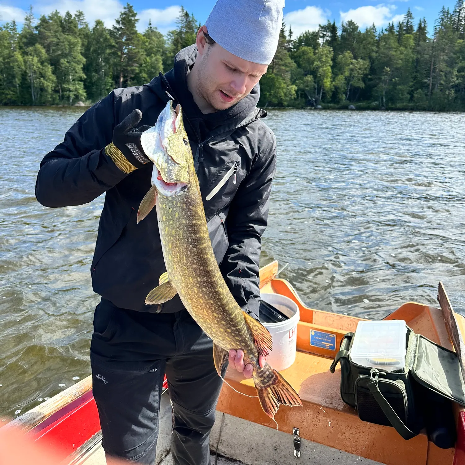 Northern pike caught on Fishbrain