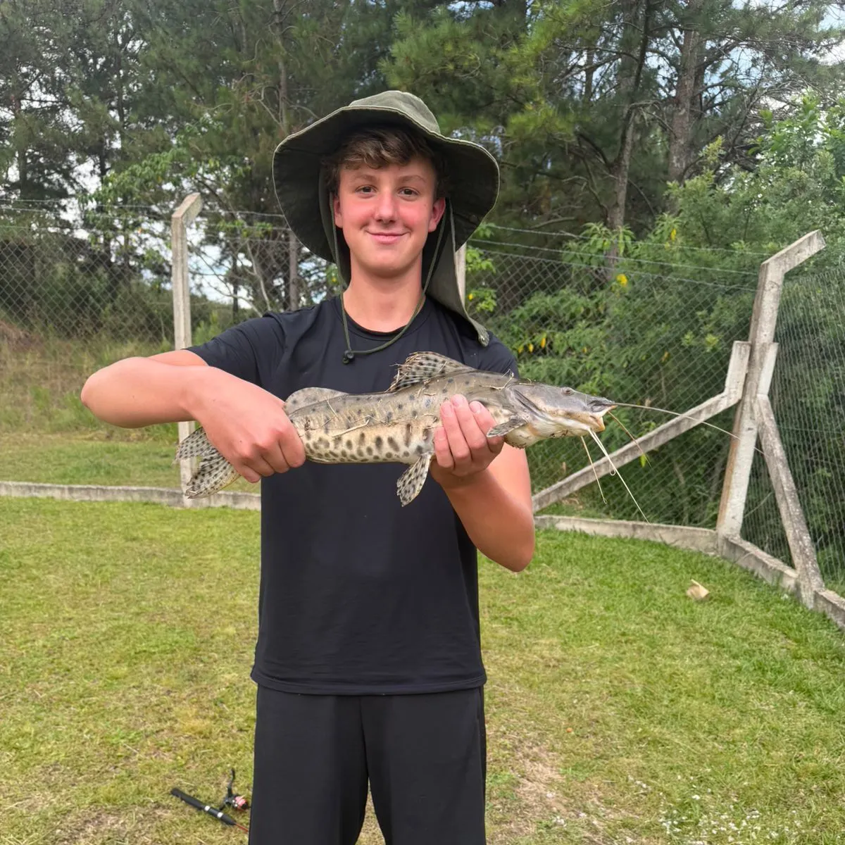 The most recent Spotted sorubim catches on Fishbrain