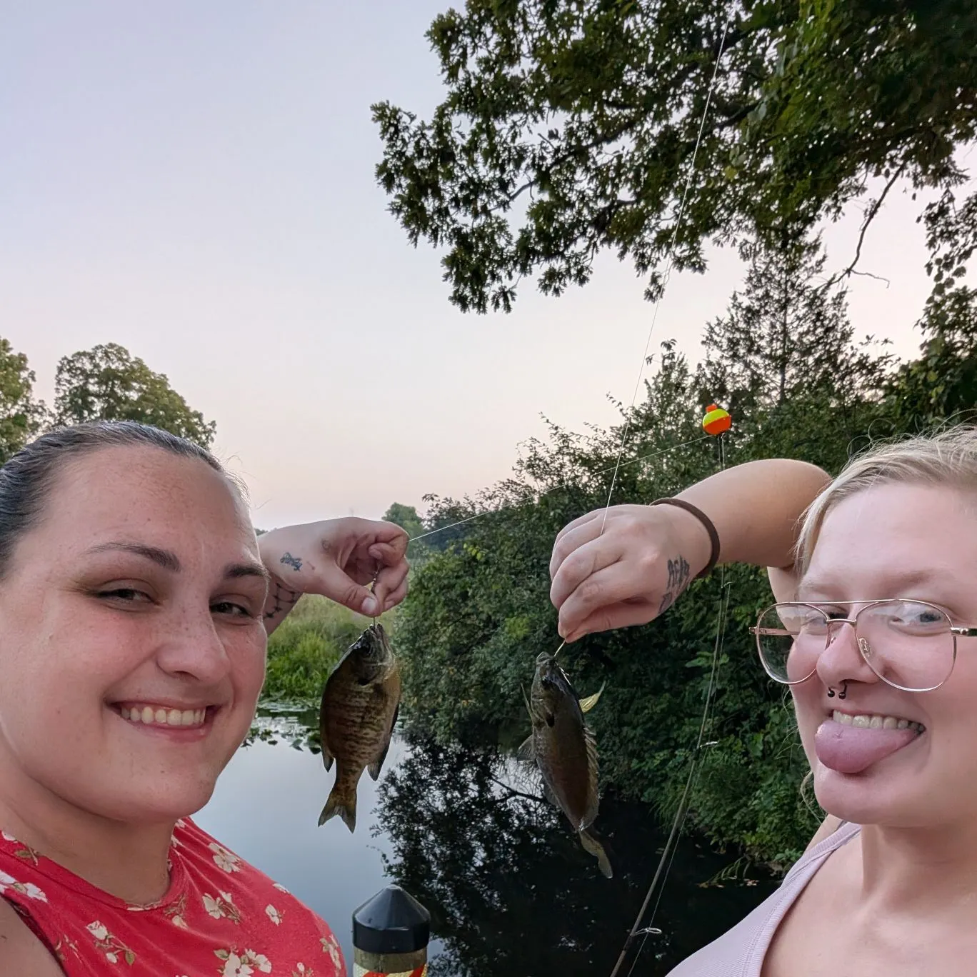 recently logged catches