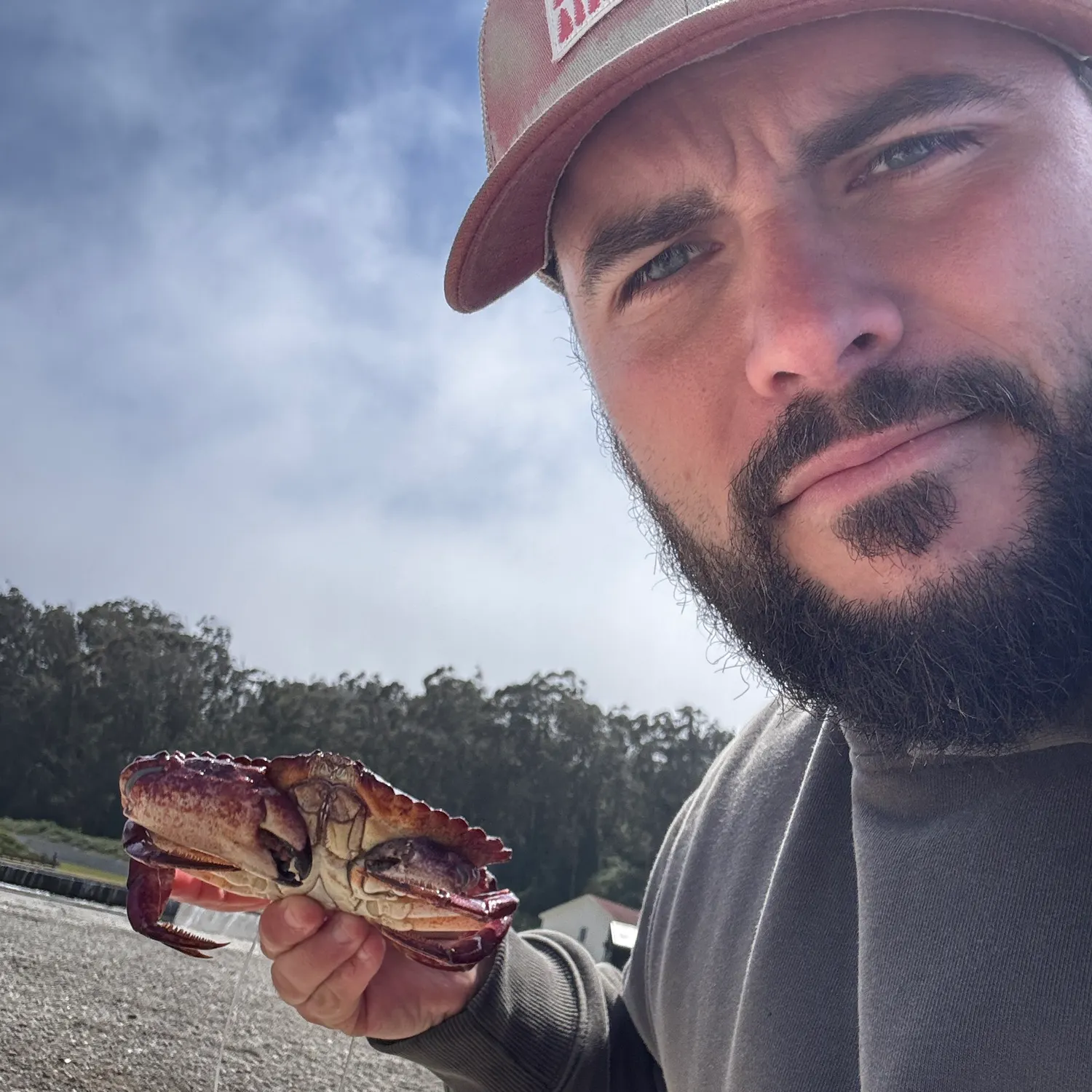 The most recent Red rock crab catches on Fishbrain