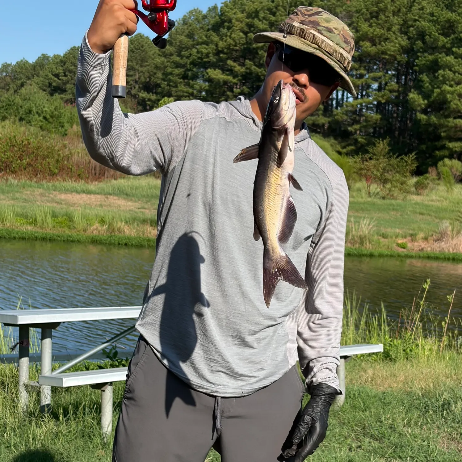 Channel catfish caught on Fishbrain