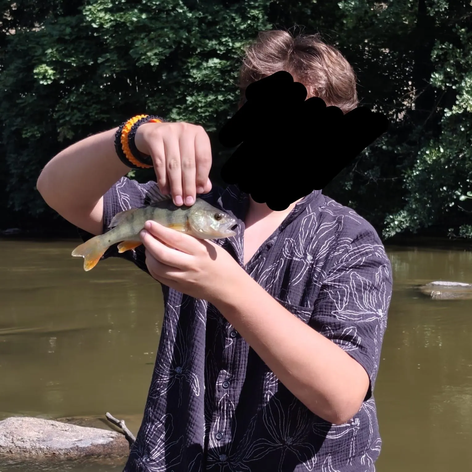European perch caught on Fishbrain