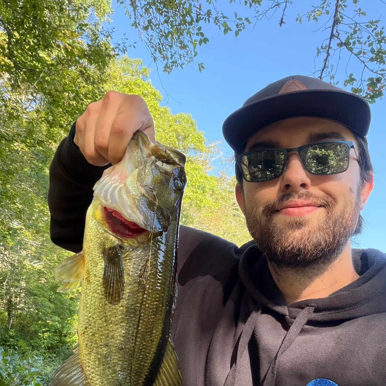 Largemouth bass caught on Fishbrain