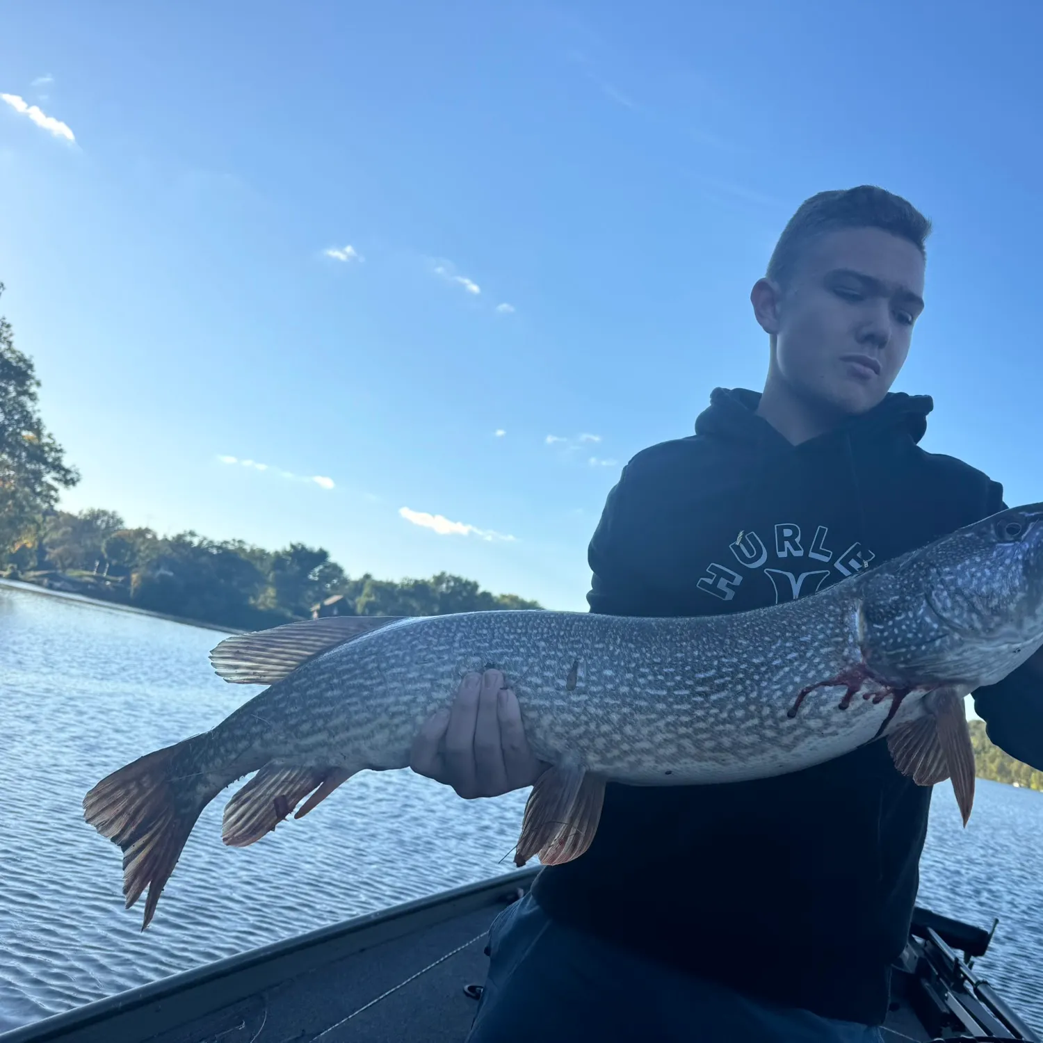 Northern pike caught on Fishbrain