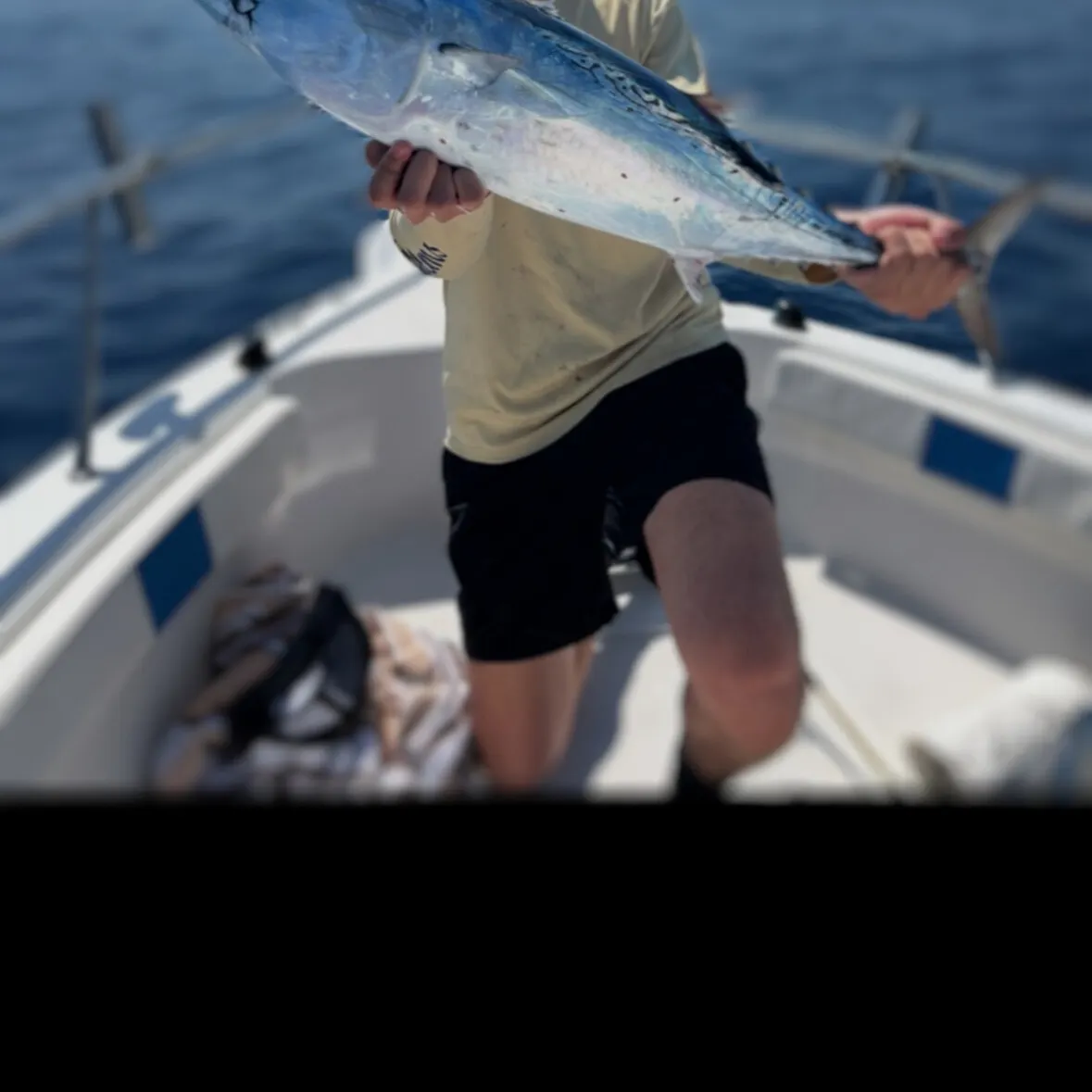 The most recent Little tunny catches on Fishbrain