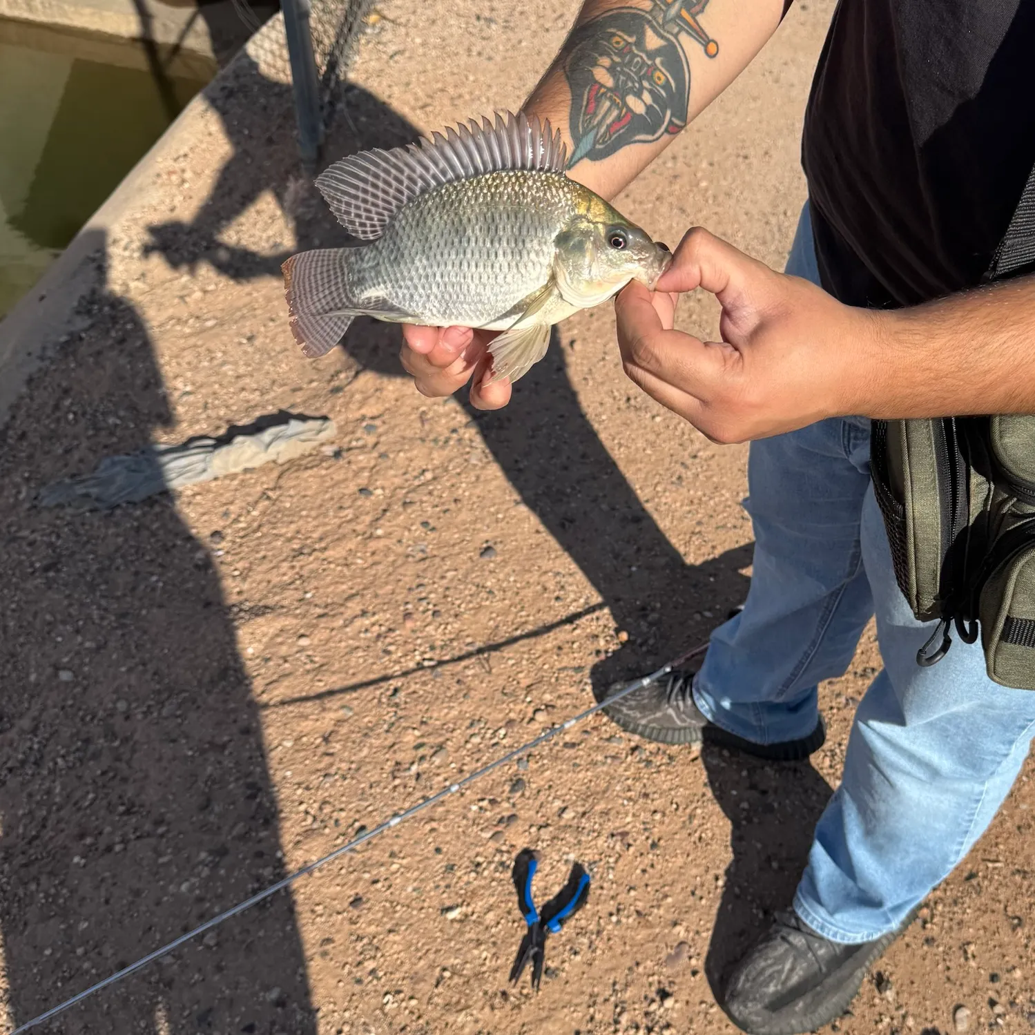 catch