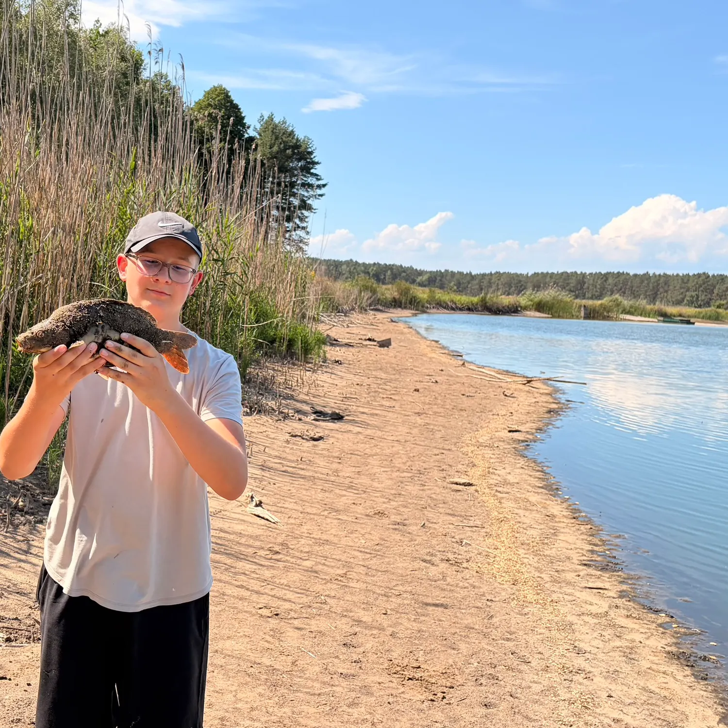 Mirror carp caught on Fishbrain