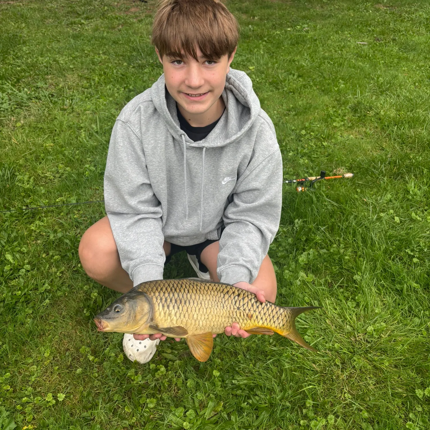 Common carp caught on Fishbrain