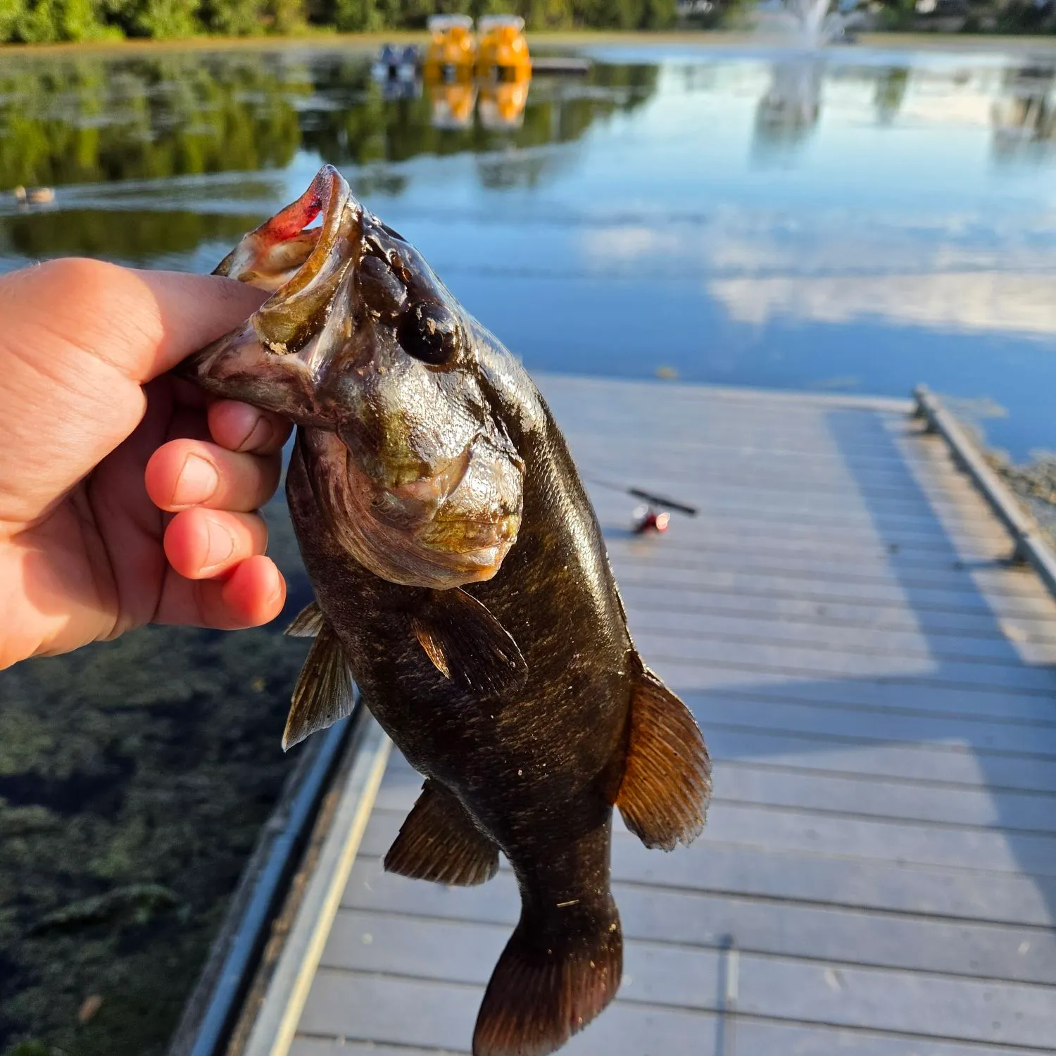 catch