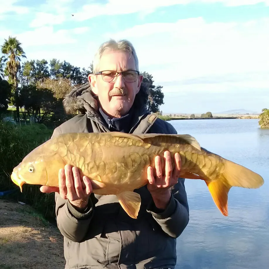 angler catch