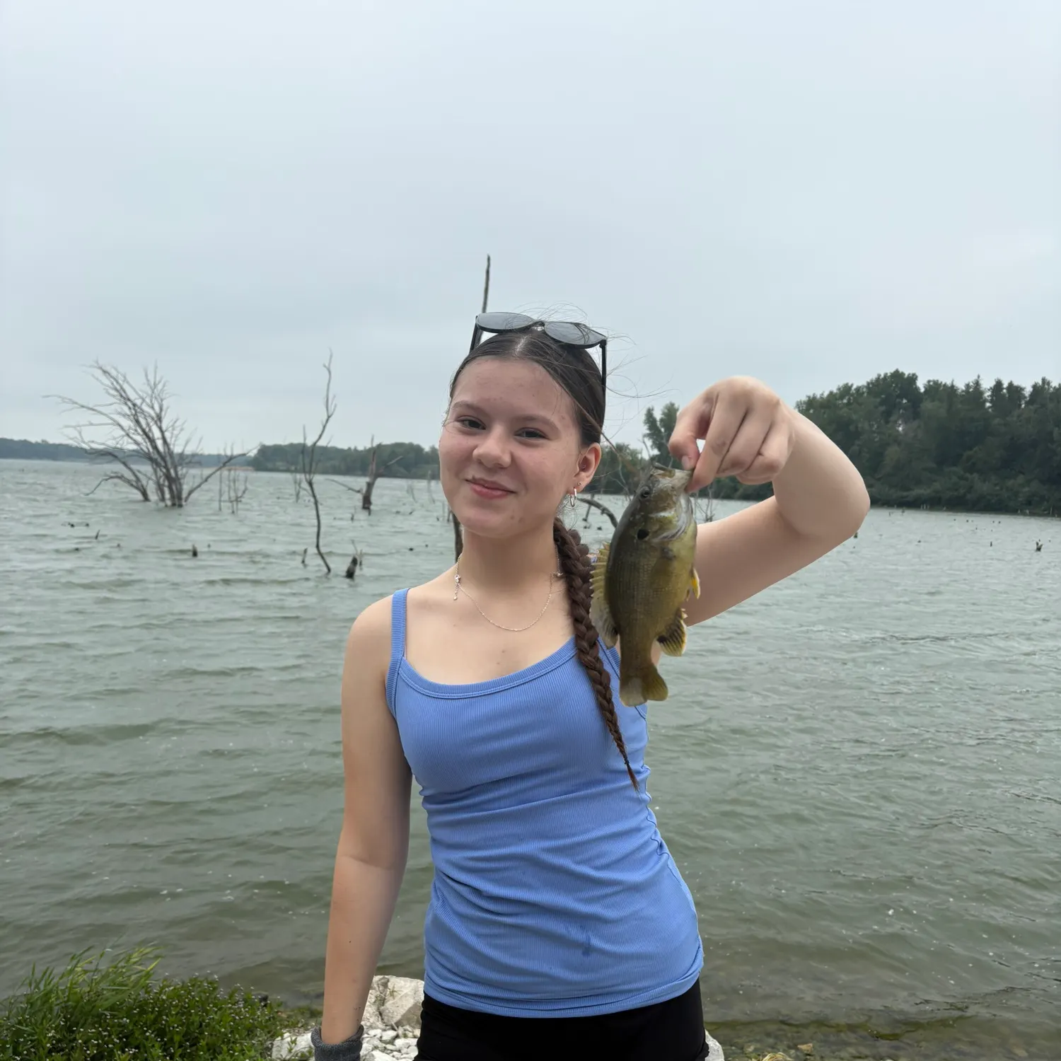 Bluegill caught on Fishbrain