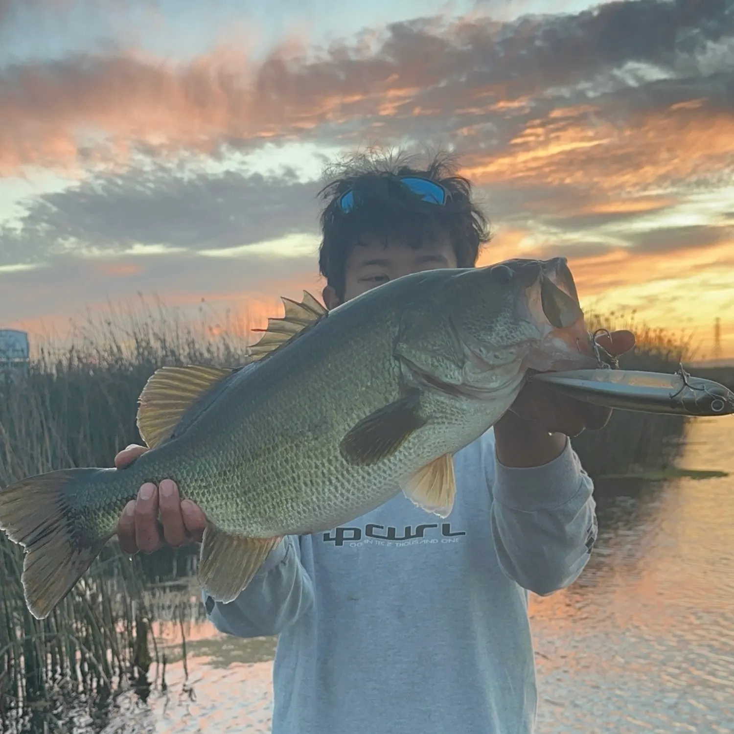 Largemouth bass caught on Fishbrain