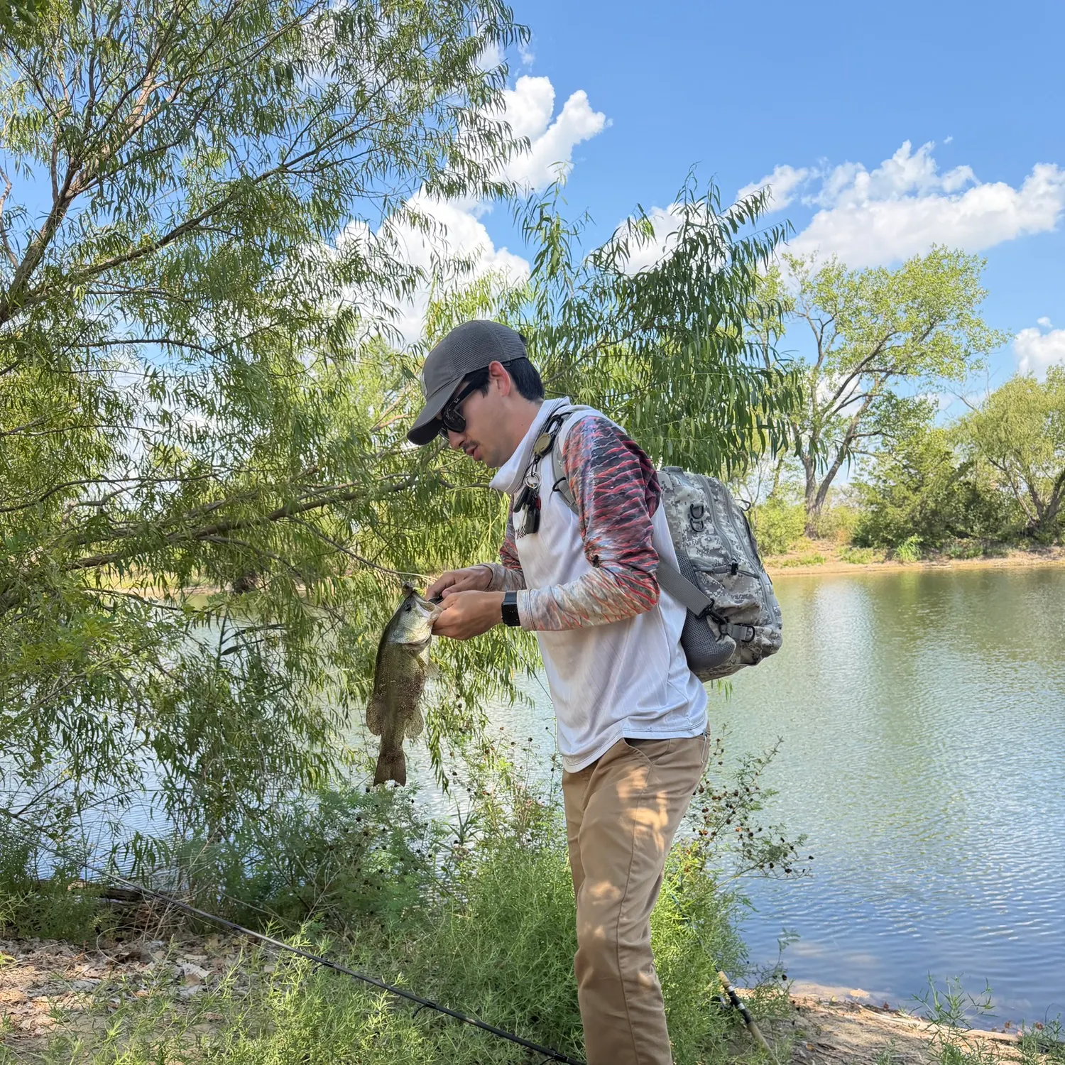 Largemouth bass caught on Fishbrain