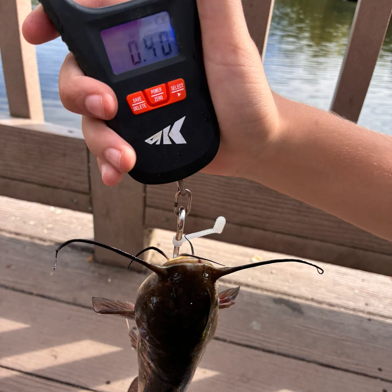 Black bullhead caught on Fishbrain