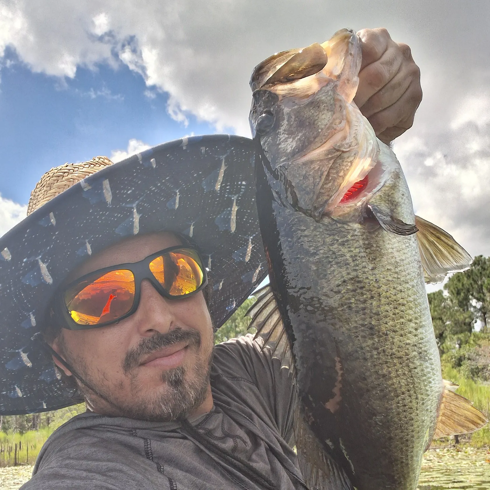 Largemouth bass caught on Fishbrain