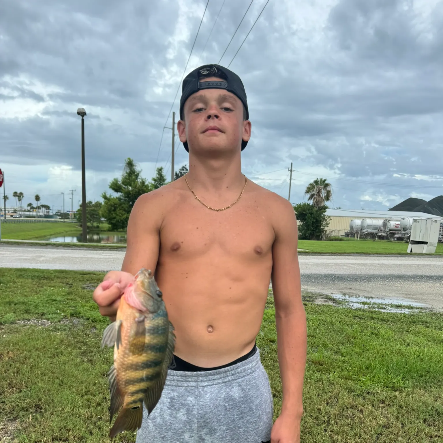 The most recent Redbelly tilapia catches on Fishbrain