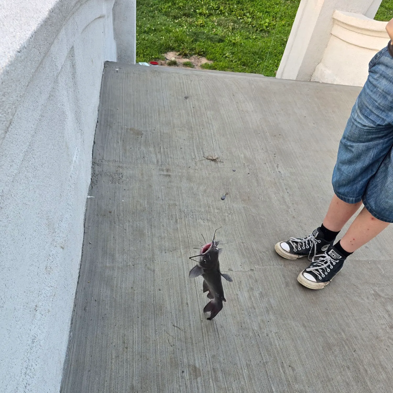 catch