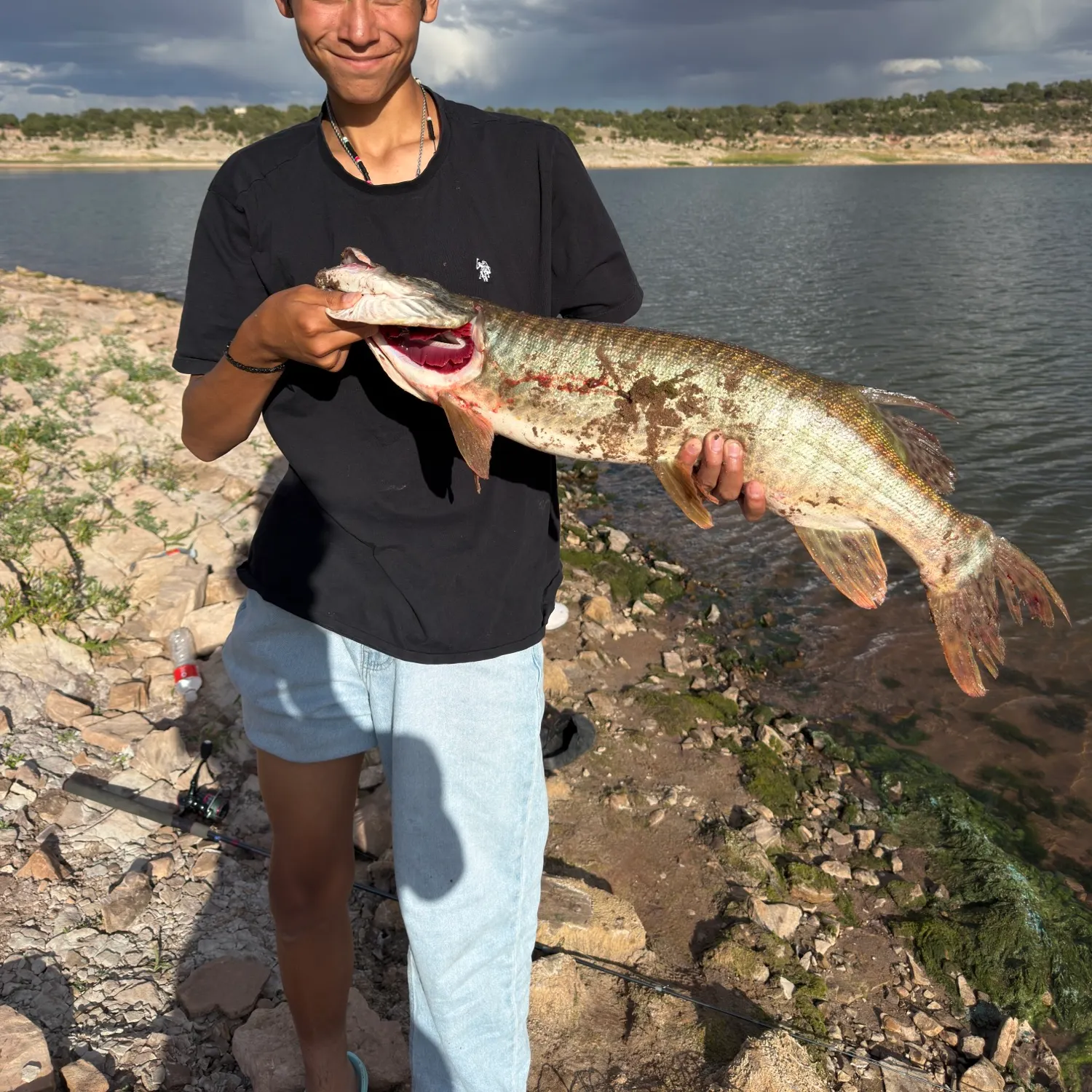 Tiger muskie caught on Fishbrain