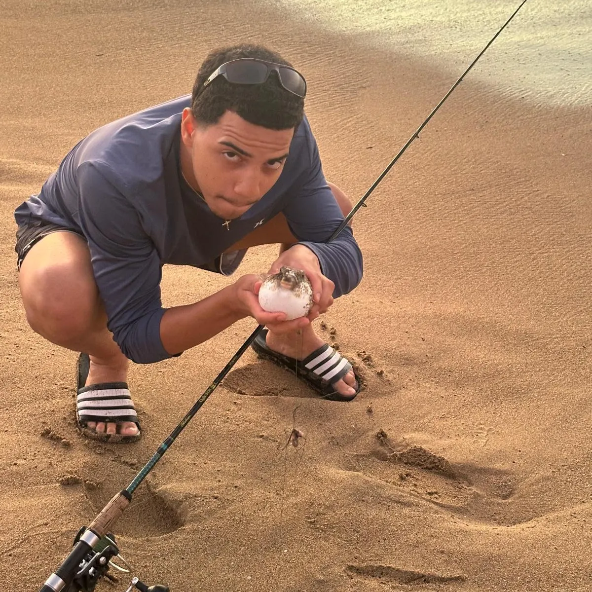 The most recent Milkspotted puffer catches on Fishbrain