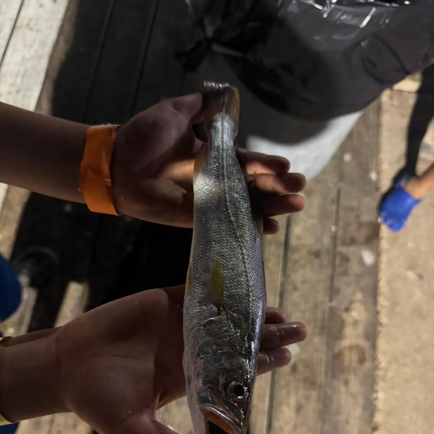 catch