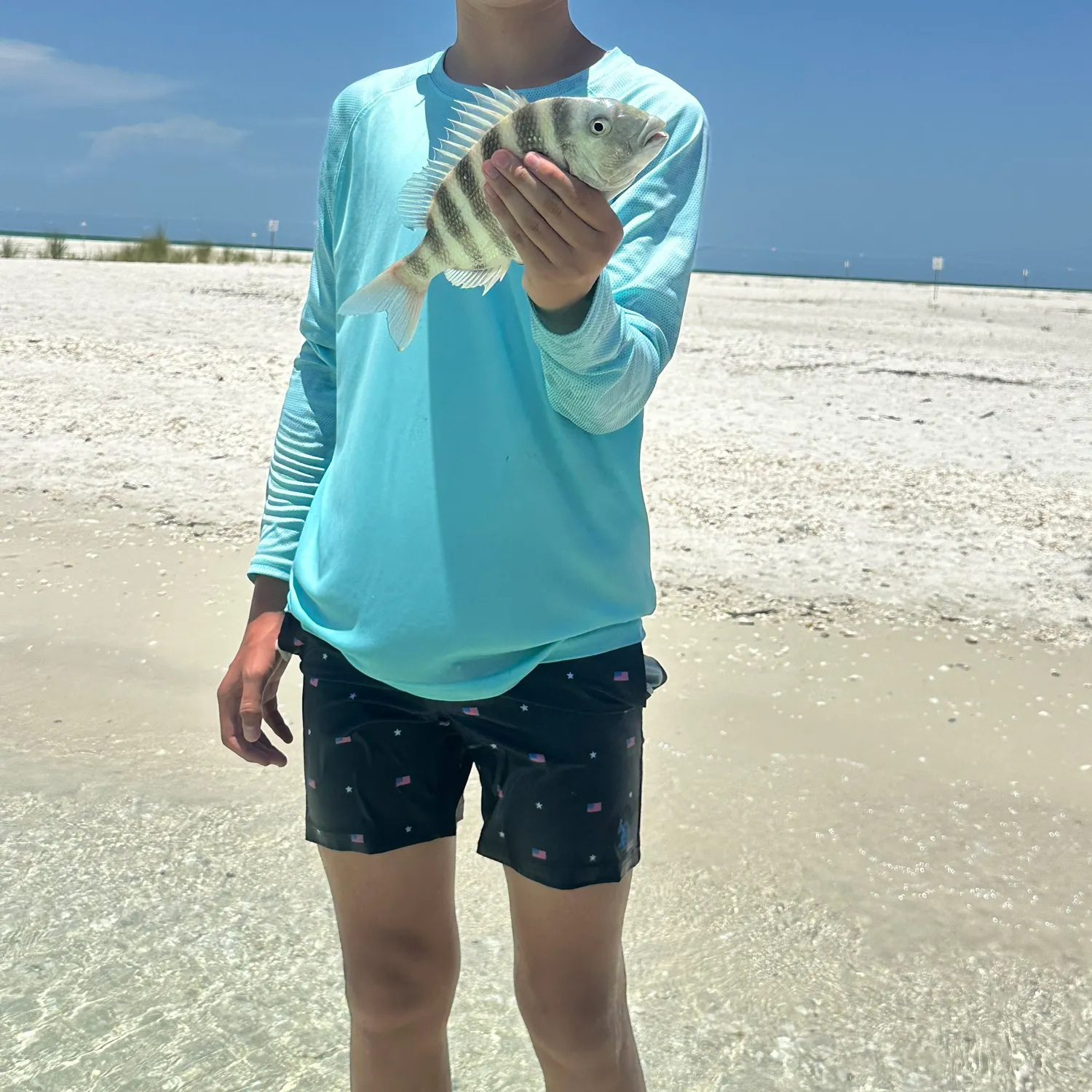 The most recent Zebra fish catches on Fishbrain