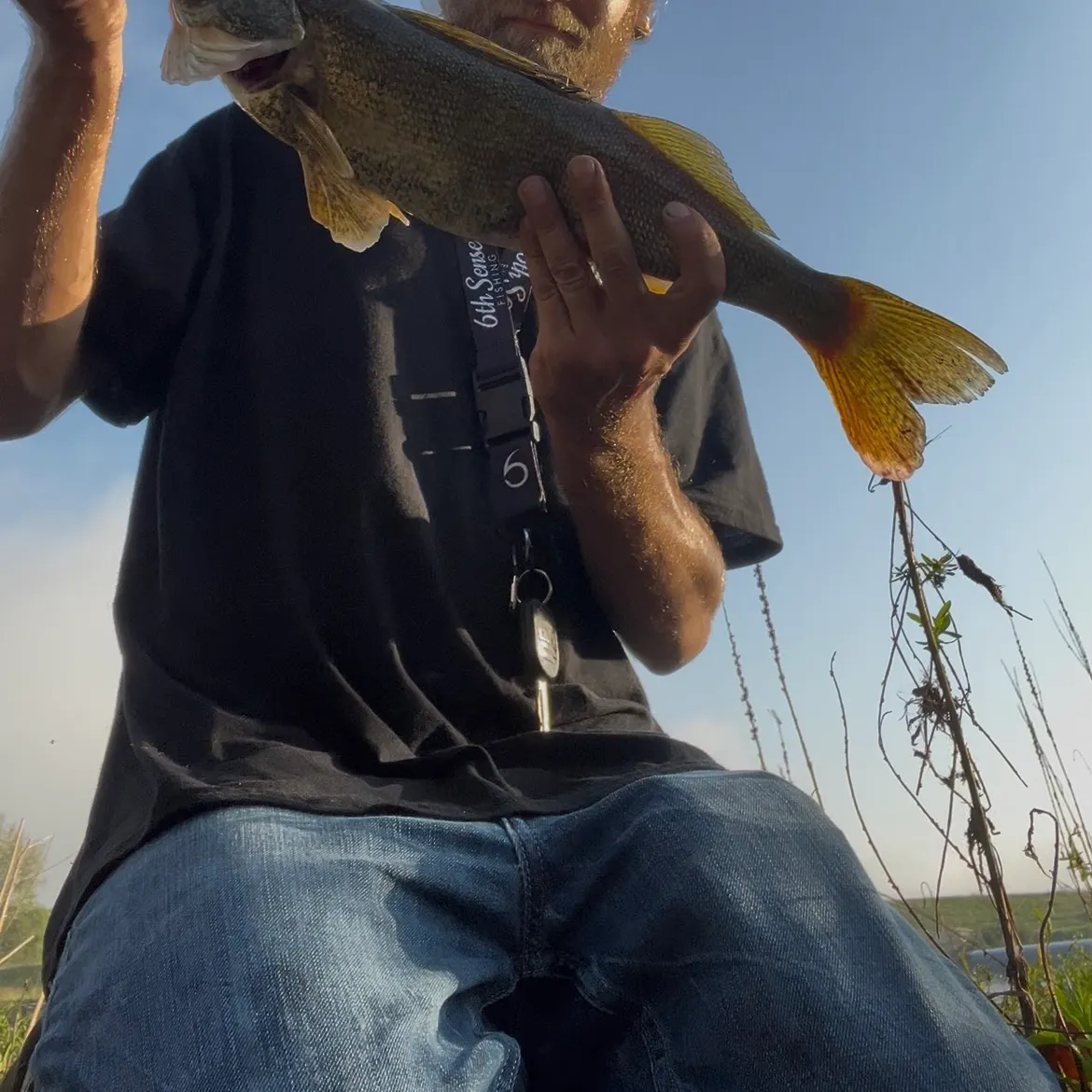 The most recent Saugeye catches on Fishbrain