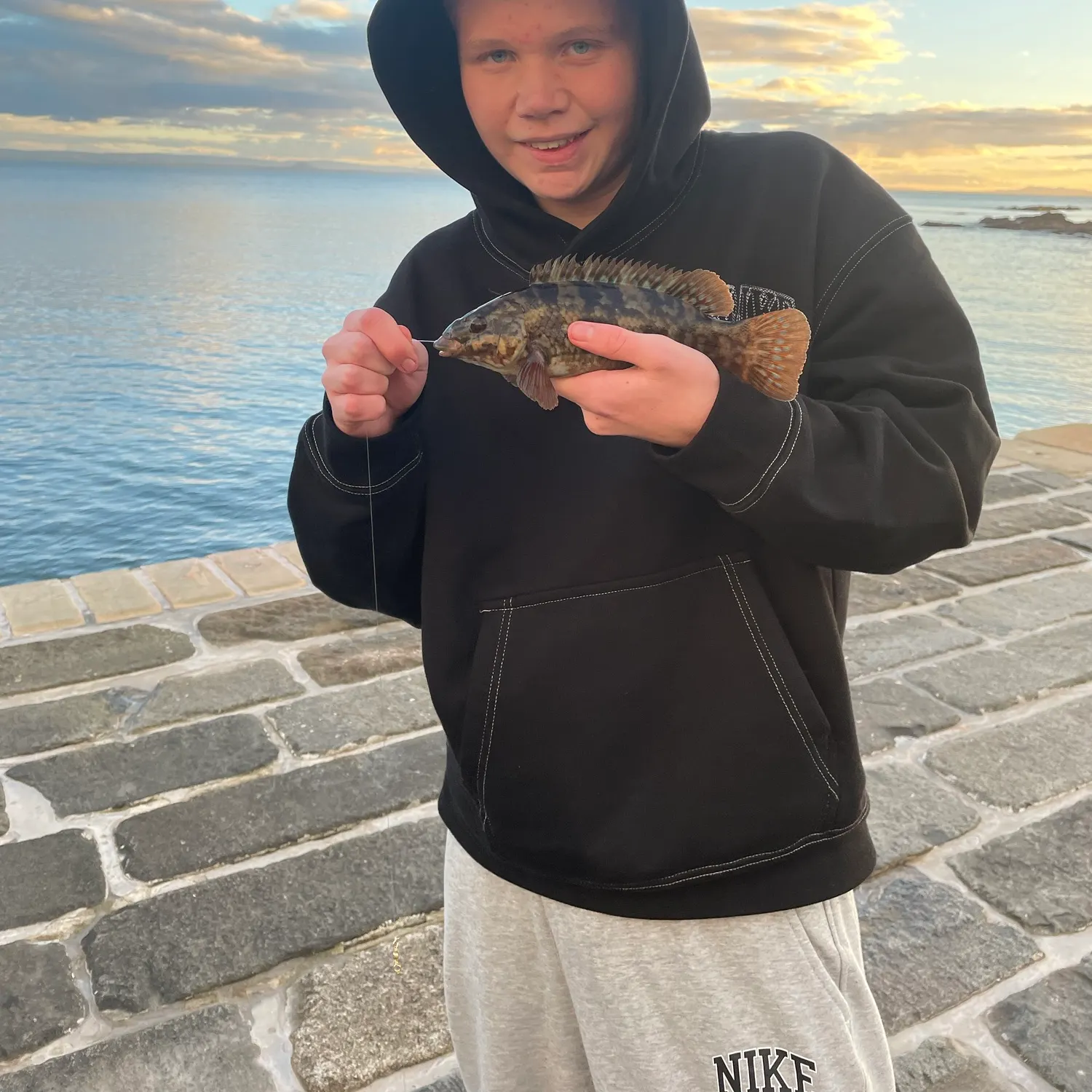 The most recent Ballan wrasse catches on Fishbrain