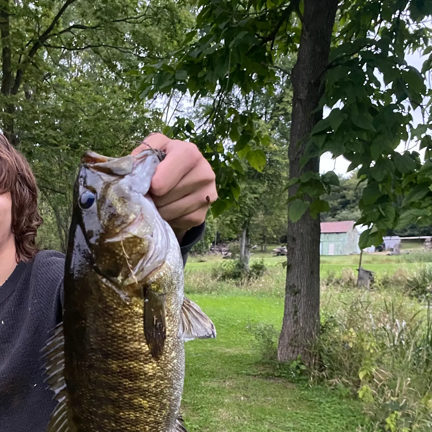 Smallmouth bass caught on Fishbrain