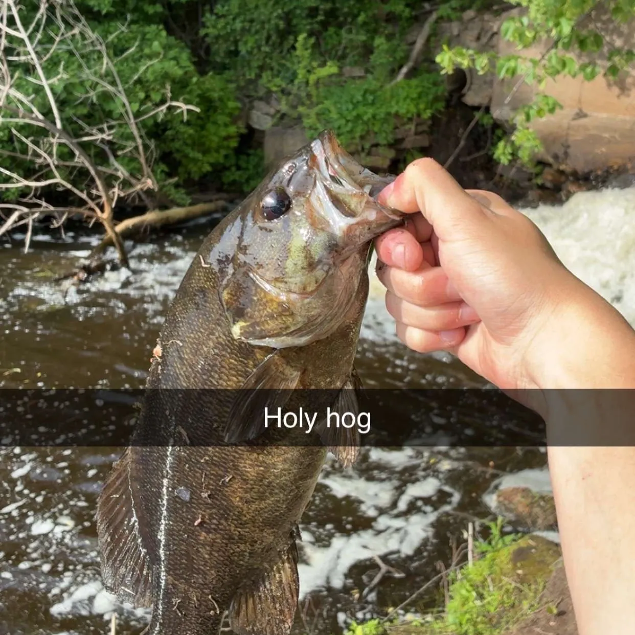 catch