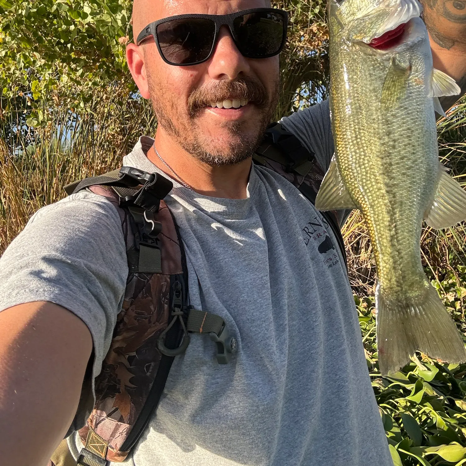 Largemouth bass caught on Fishbrain